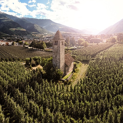 Chiesa di Procolo