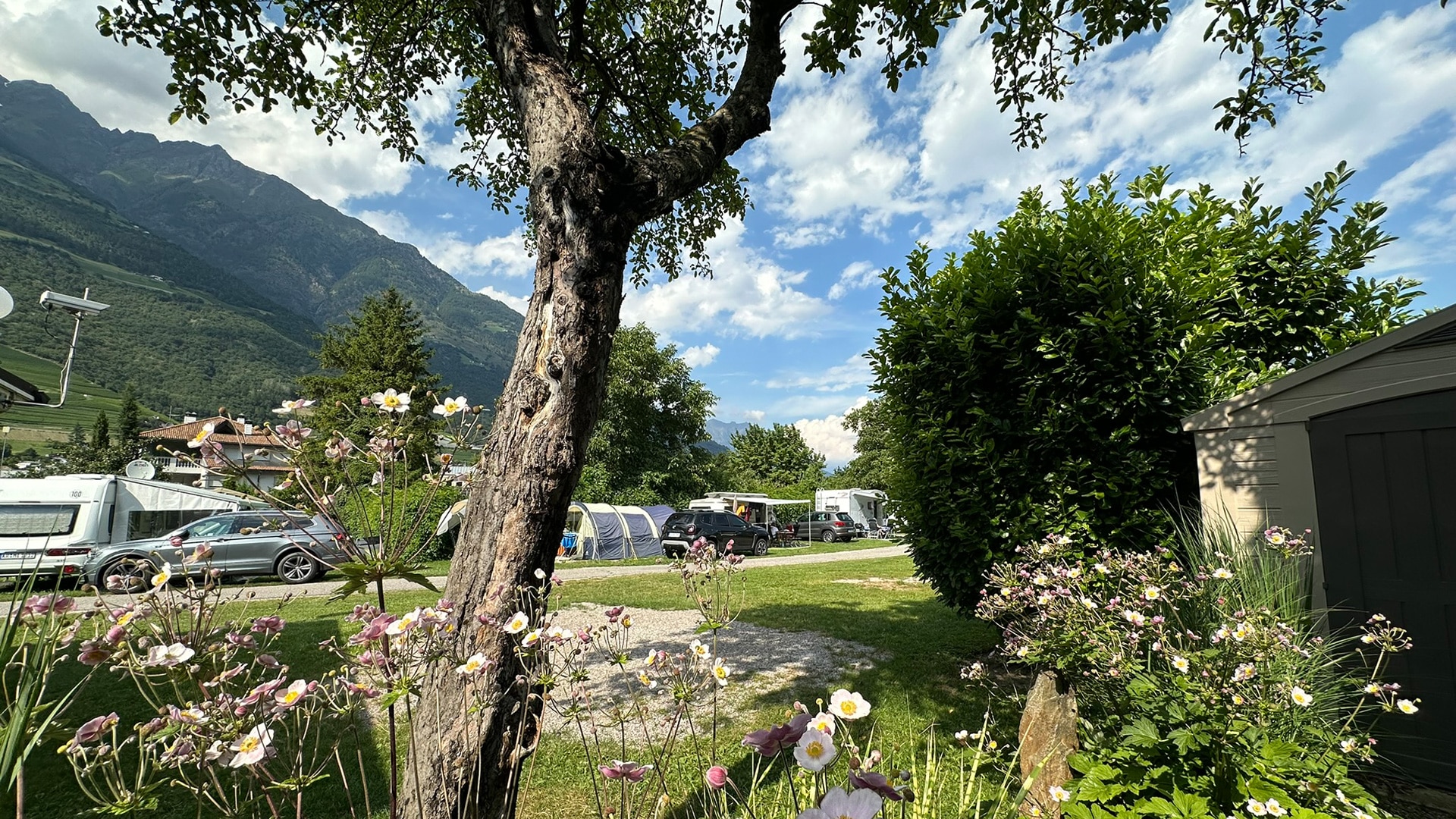 Camping in South Tyrol