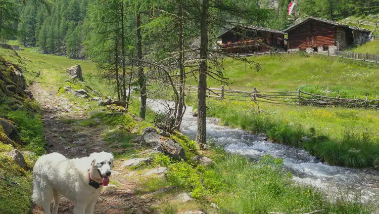 Camping Südtirol sonnig